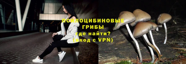ПСИЛОЦИБИНОВЫЕ ГРИБЫ Балабаново