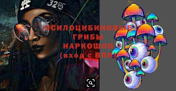 СК Аркадак