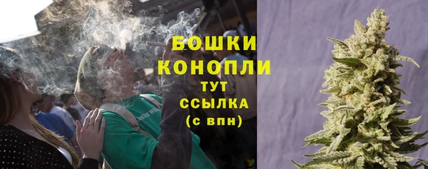 СК Аркадак